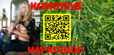 тгк Камышлов
