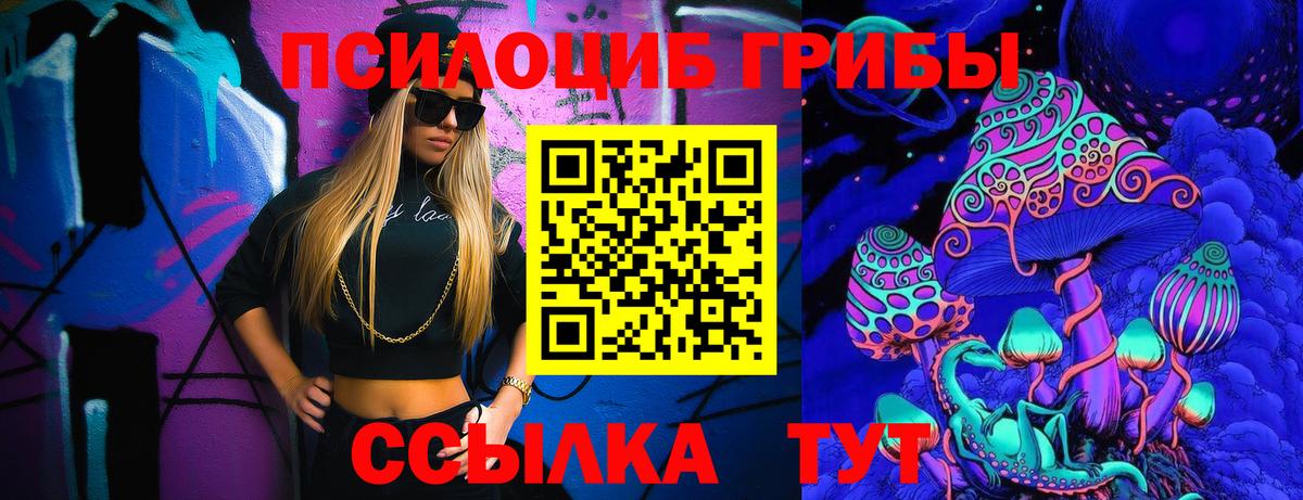 Псилоцибиновые грибы MAGIC MUSHROOMS  дарнет шоп  Красноярск  Вход с VPN  Псилоцибиновые грибы ЛСД 